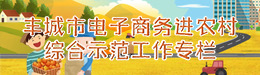 豐城市電子商務(wù)進(jìn)農(nóng)村綜合示范工作專欄